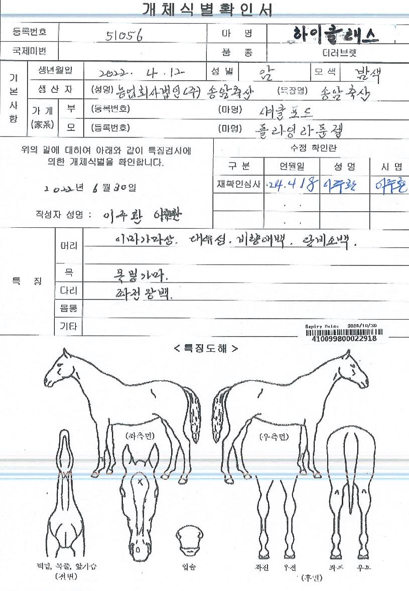 ÇÏÀÌŬ·¡½ºÀÇ Ãø¸é,¿ì¸é,µÞ¸é,µÎ»ó,´Ù¸®ÀÇ Æ¯Â¡µµÇØ