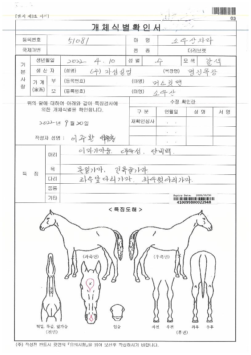 ¼Ò¿ì»êÀÚ¸¶ÀÇ Ãø¸é,¿ì¸é,µÞ¸é,µÎ»ó,´Ù¸®ÀÇ Æ¯Â¡µµÇØ