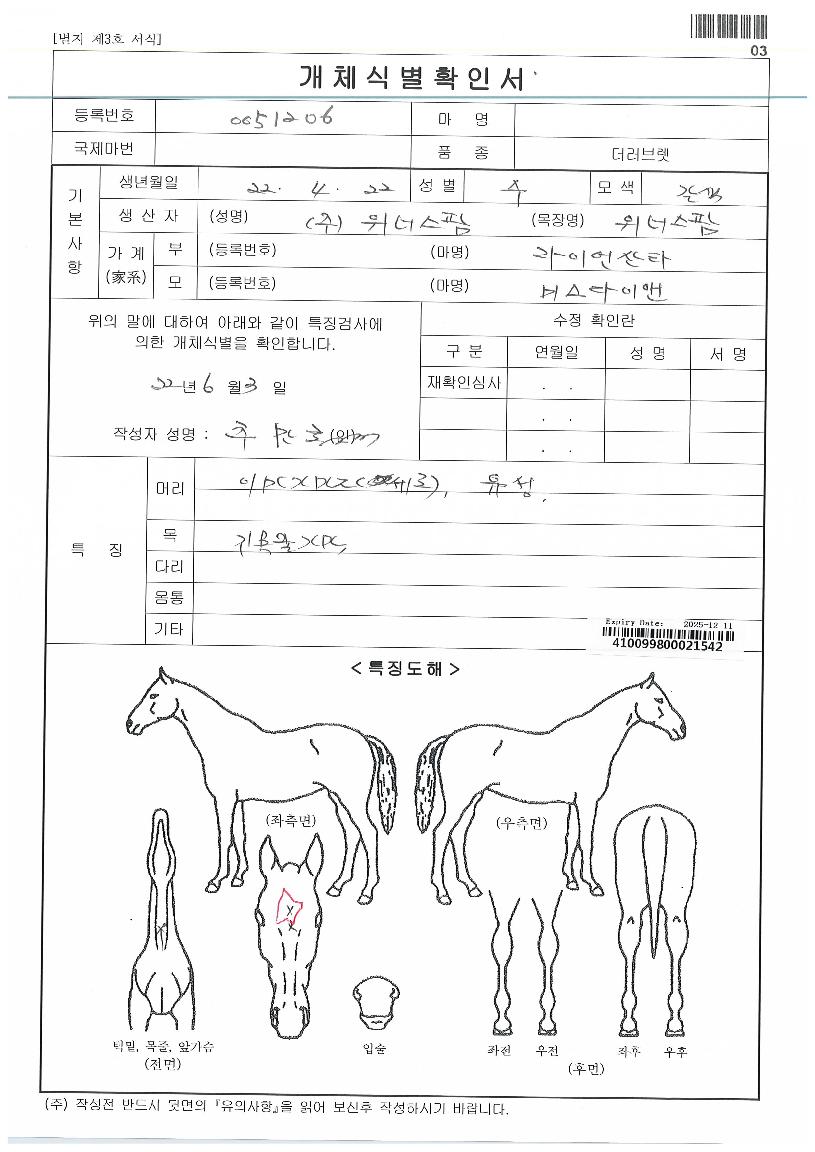 ¿¢¼¿ÀÇ Ãø¸é,¿ì¸é,µÞ¸é,µÎ»ó,´Ù¸®ÀÇ Æ¯Â¡µµÇØ