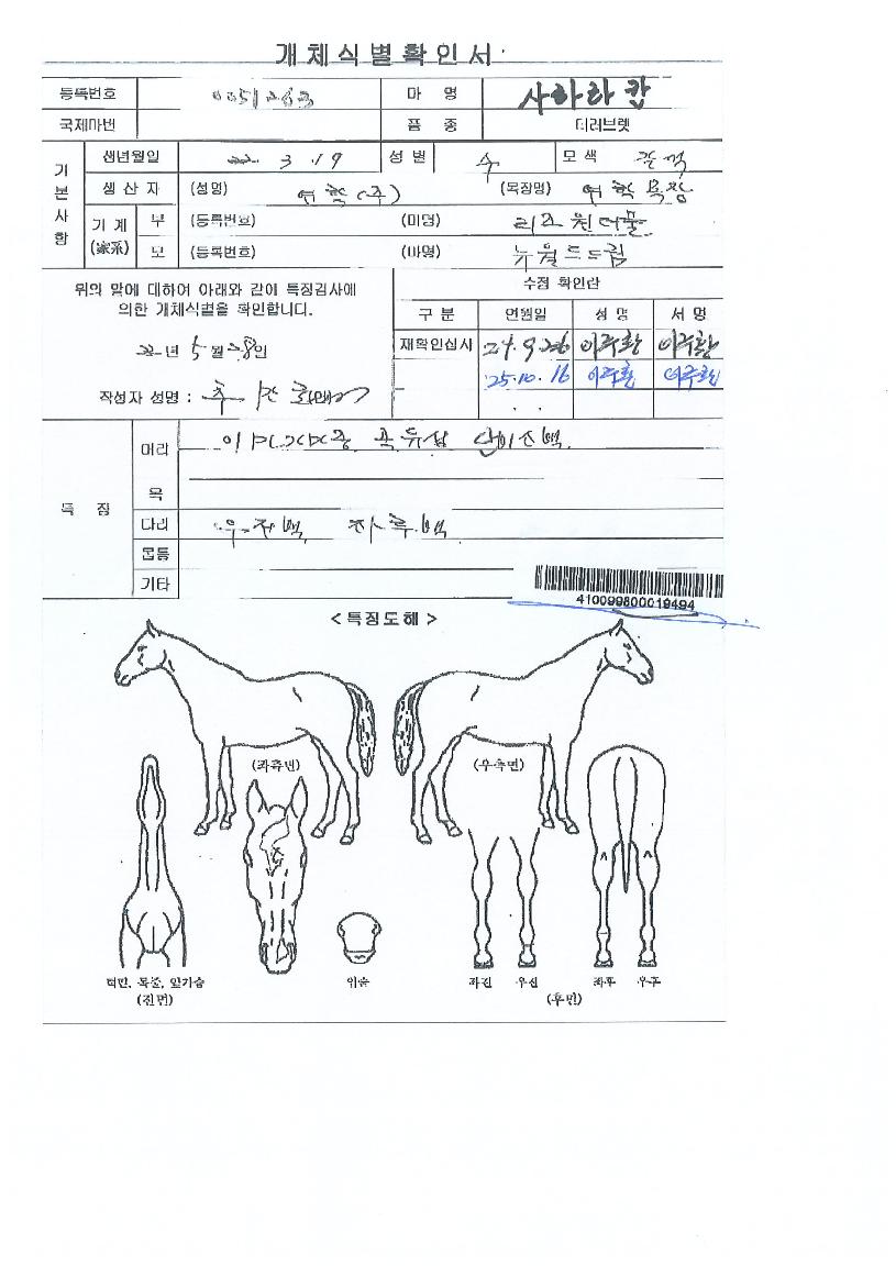 »çÇ϶óÄÀÇ Ãø¸é,¿ì¸é,µÞ¸é,µÎ»ó,´Ù¸®ÀÇ Æ¯Â¡µµÇØ