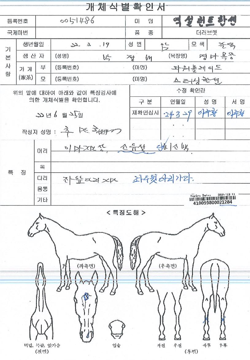 ¿¢¼³·±Æ®ÇѼ¾ÀÇ Ãø¸é,¿ì¸é,µÞ¸é,µÎ»ó,´Ù¸®ÀÇ Æ¯Â¡µµÇØ