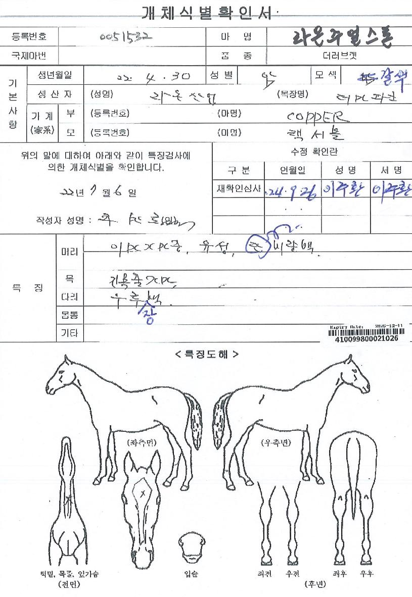 ¶ó¿ÂÁÖ¾ó½ºÅæÀÇ Ãø¸é,¿ì¸é,µÞ¸é,µÎ»ó,´Ù¸®ÀÇ Æ¯Â¡µµÇØ