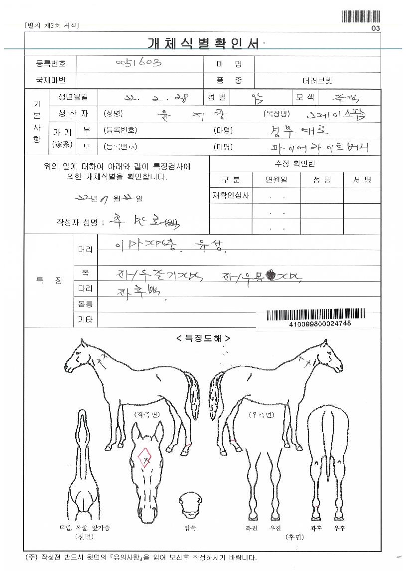 ¿ùµå¹ö´ÏĹÀÇ Ãø¸é,¿ì¸é,µÞ¸é,µÎ»ó,´Ù¸®ÀÇ Æ¯Â¡µµÇØ