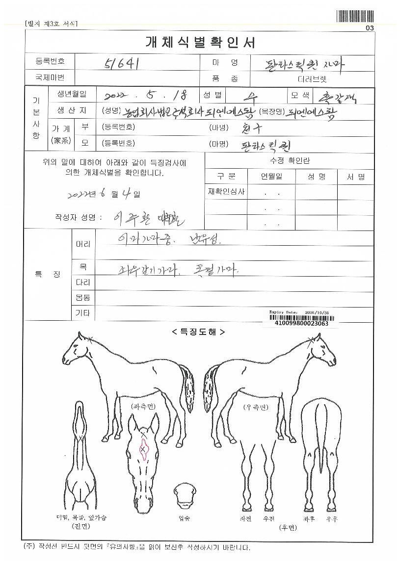 ÆÇŸ½ºÆ½ÄýÀÚ¸¶ÀÇ Ãø¸é,¿ì¸é,µÞ¸é,µÎ»ó,´Ù¸®ÀÇ Æ¯Â¡µµÇØ