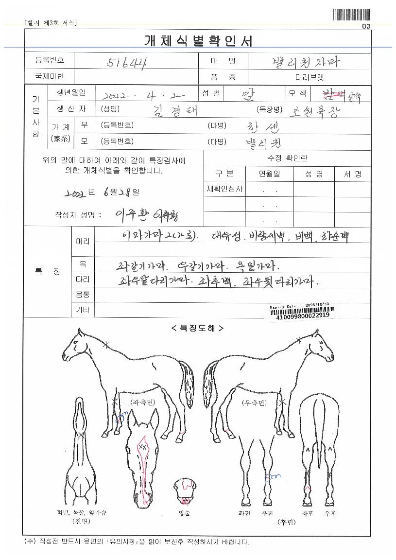 ¹ë¸®ÄýÀÚ¸¶ÀÇ Ãø¸é,¿ì¸é,µÞ¸é,µÎ»ó,´Ù¸®ÀÇ Æ¯Â¡µµÇØ