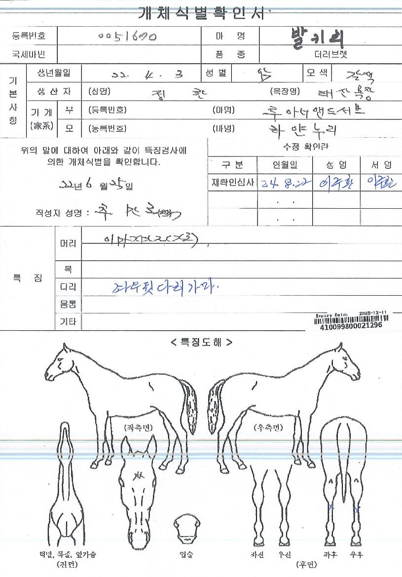 ¹ß۸®ÀÇ Ãø¸é,¿ì¸é,µÞ¸é,µÎ»ó,´Ù¸®ÀÇ Æ¯Â¡µµÇØ