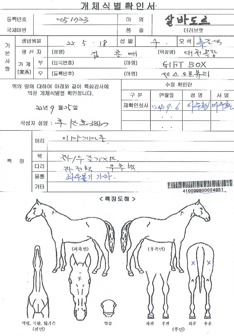 »ì¹Ùµµ¸£ÀÇ Ãø¸é,¿ì¸é,µÞ¸é,µÎ»ó,´Ù¸®ÀÇ Æ¯Â¡µµÇØ