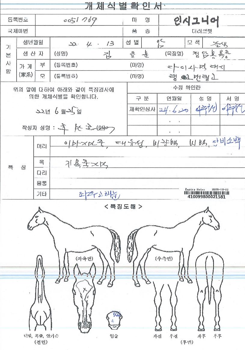 Àνñ״ϾîÀÇ Ãø¸é,¿ì¸é,µÞ¸é,µÎ»ó,´Ù¸®ÀÇ Æ¯Â¡µµÇØ