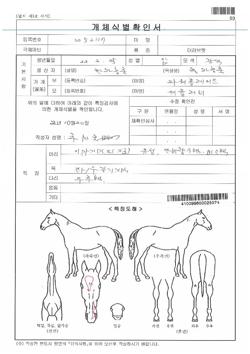 ºê¸®µµÄÉ·¹½ºÀÇ Ãø¸é,¿ì¸é,µÞ¸é,µÎ»ó,´Ù¸®ÀÇ Æ¯Â¡µµÇØ