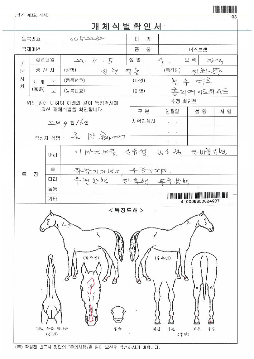 ¼ºÎÀ̱ÛÀÇ Ãø¸é,¿ì¸é,µÞ¸é,µÎ»ó,´Ù¸®ÀÇ Æ¯Â¡µµÇØ