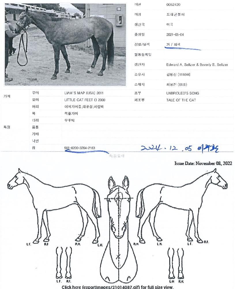 µå·¡°ïºÒÆÐÀÇ Ãø¸é,¿ì¸é,µÞ¸é,µÎ»ó,´Ù¸®ÀÇ Æ¯Â¡µµÇØ