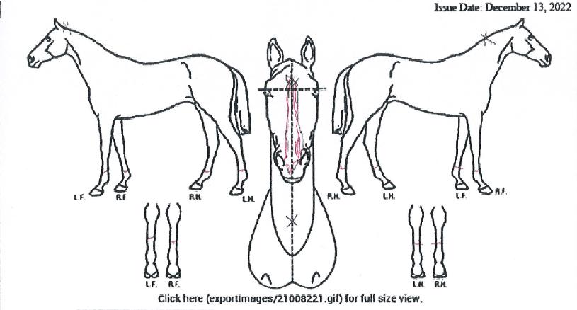 Å¥Çǵå½ÃƼÀÇ Ãø¸é,¿ì¸é,µÞ¸é,µÎ»ó,´Ù¸®ÀÇ Æ¯Â¡µµÇØ
