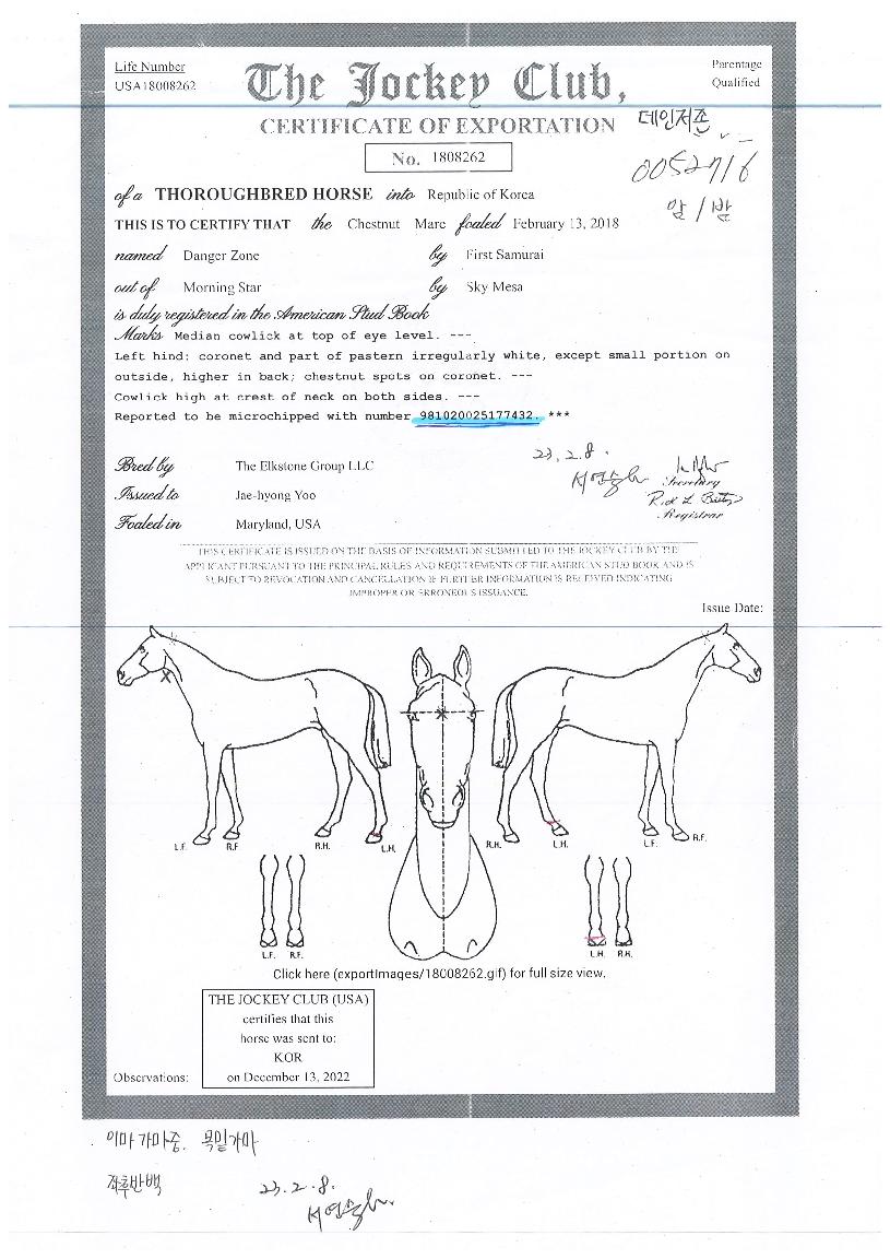 µ¥ÀÎÀúÁ¸ÀÇ Ãø¸é,¿ì¸é,µÞ¸é,µÎ»ó,´Ù¸®ÀÇ Æ¯Â¡µµÇØ