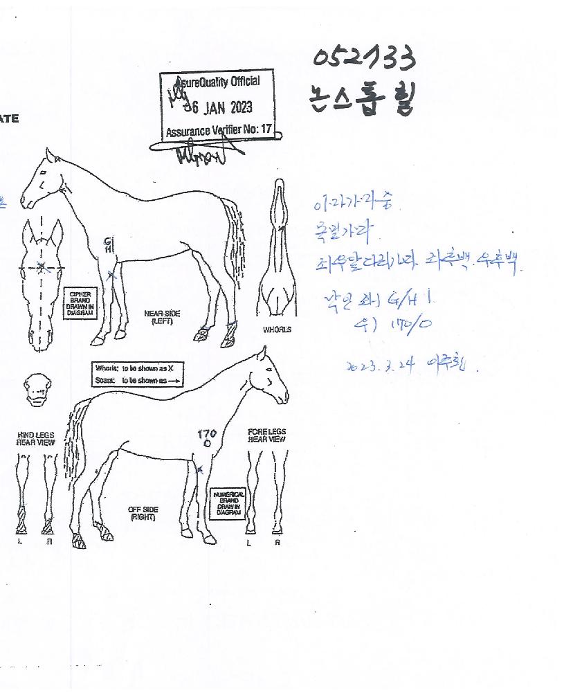 ³í½ºÅéÈúÀÇ Ãø¸é,¿ì¸é,µÞ¸é,µÎ»ó,´Ù¸®ÀÇ Æ¯Â¡µµÇØ