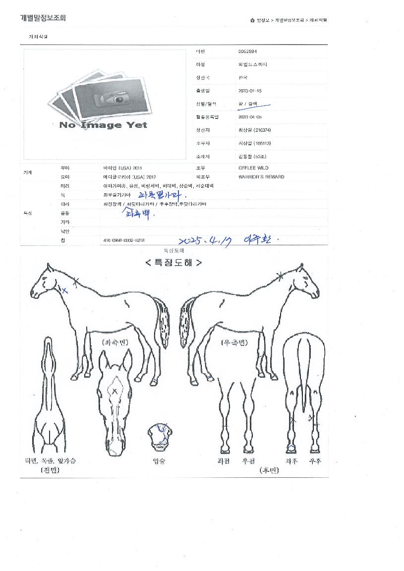 ¿ÍÀϵ彺¸¶Æ¼ÀÇ Ãø¸é,¿ì¸é,µÞ¸é,µÎ»ó,´Ù¸®ÀÇ Æ¯Â¡µµÇØ
