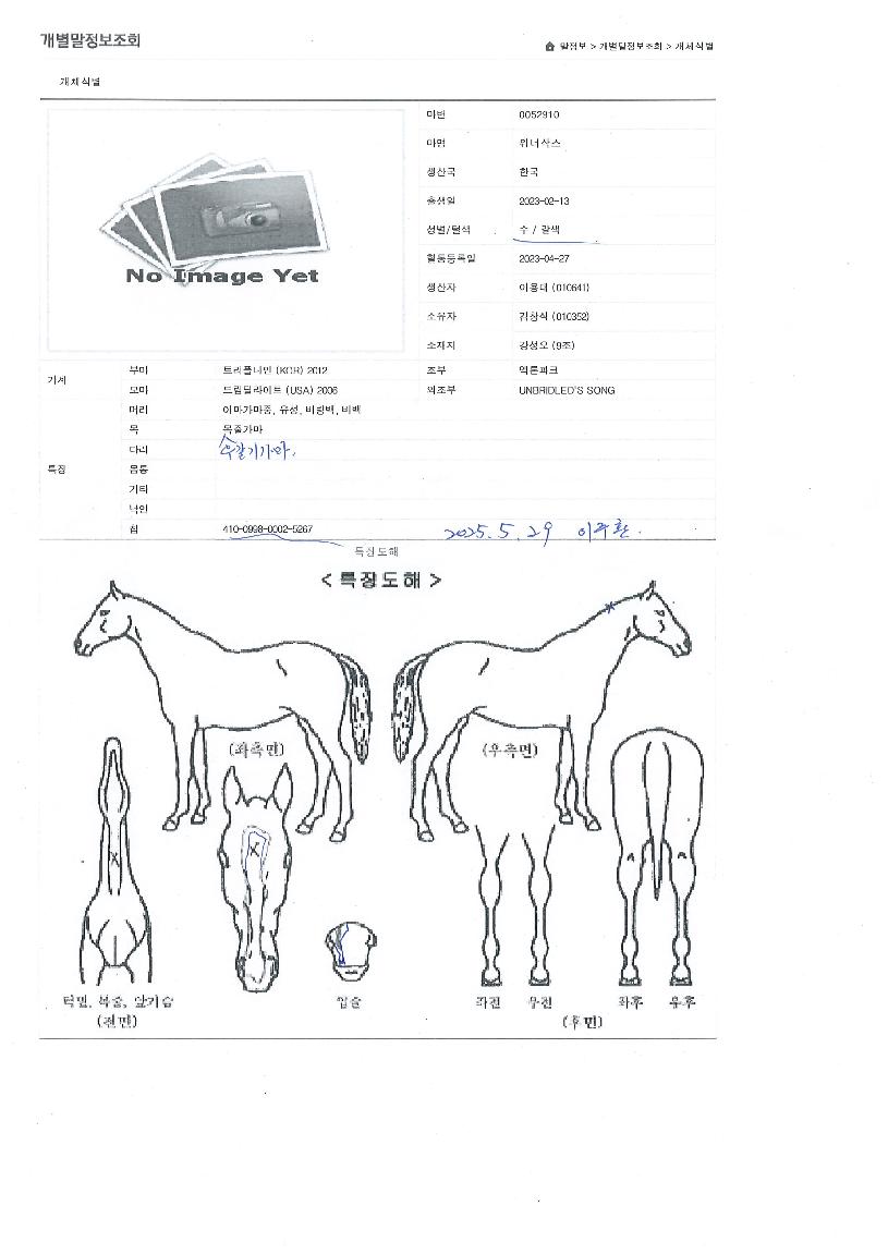 À§³Ê»è½ºÀÇ Ãø¸é,¿ì¸é,µÞ¸é,µÎ»ó,´Ù¸®ÀÇ Æ¯Â¡µµÇØ
