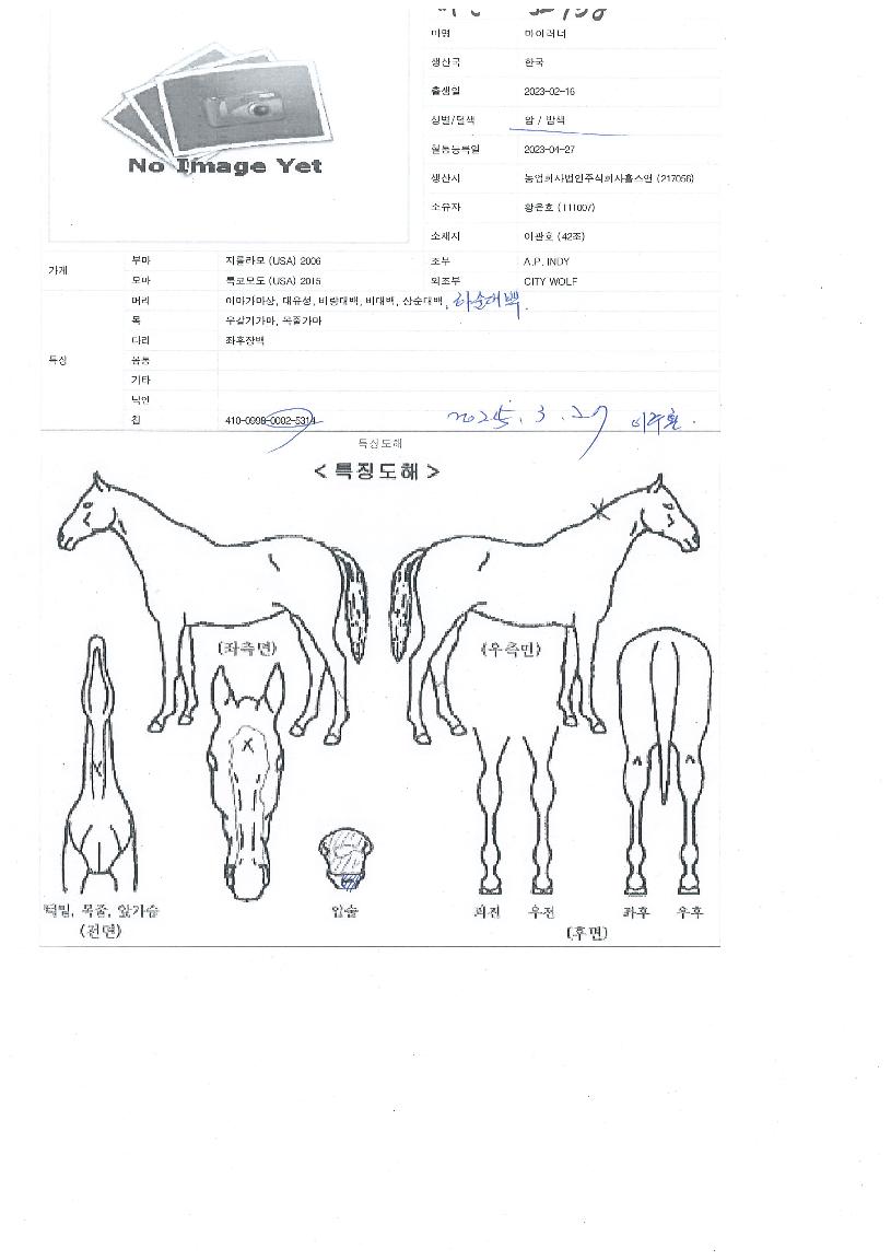 ¸¶ÀÌ·¯³ÊÀÇ Ãø¸é,¿ì¸é,µÞ¸é,µÎ»ó,´Ù¸®ÀÇ Æ¯Â¡µµÇØ