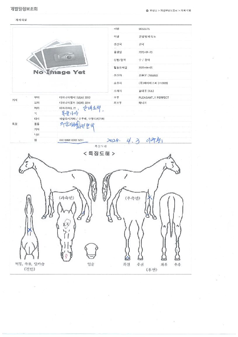 ¾È¾çºûÀǼӵµÀÇ Ãø¸é,¿ì¸é,µÞ¸é,µÎ»ó,´Ù¸®ÀÇ Æ¯Â¡µµÇØ