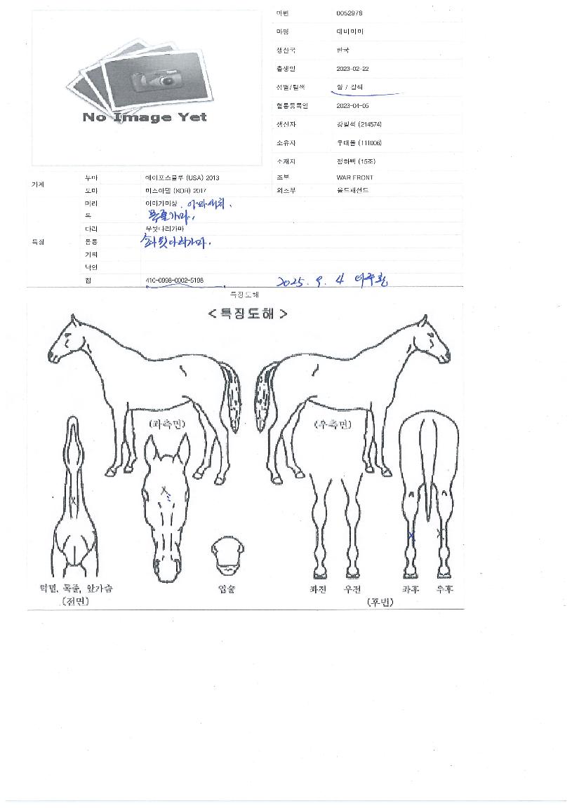 ´ëºñ¸¶¸¶ÀÇ Ãø¸é,¿ì¸é,µÞ¸é,µÎ»ó,´Ù¸®ÀÇ Æ¯Â¡µµÇØ