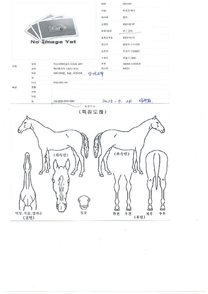 ºòÅ丮¸ÅÄ¡ÀÇ Ãø¸é,¿ì¸é,µÞ¸é,µÎ»ó,´Ù¸®ÀÇ Æ¯Â¡µµÇØ