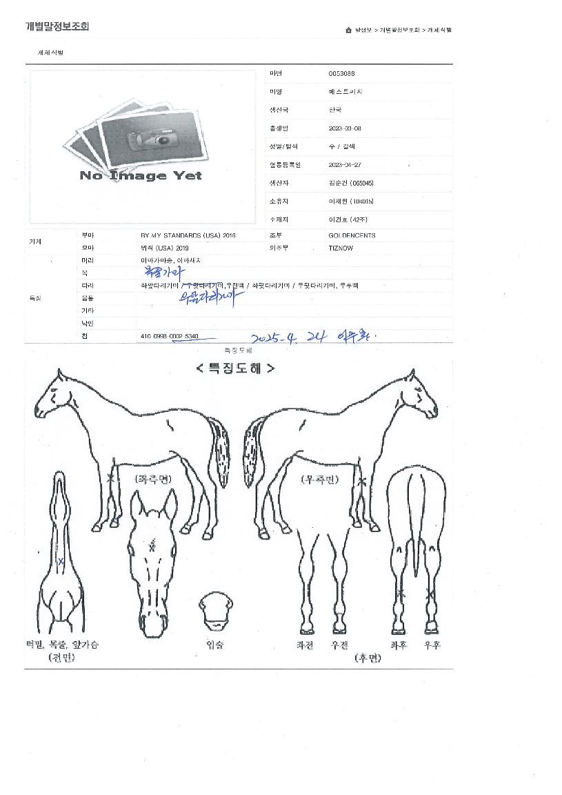 º£½ºÆ®ÇÇÄ¡ÀÇ Ãø¸é,¿ì¸é,µÞ¸é,µÎ»ó,´Ù¸®ÀÇ Æ¯Â¡µµÇØ