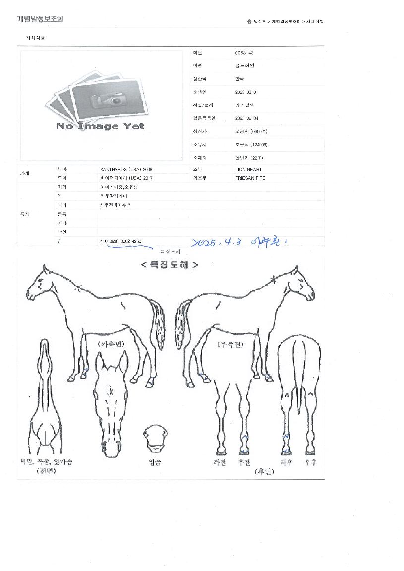 °ñµå·¹ÀÎÀÇ Ãø¸é,¿ì¸é,µÞ¸é,µÎ»ó,´Ù¸®ÀÇ Æ¯Â¡µµÇØ