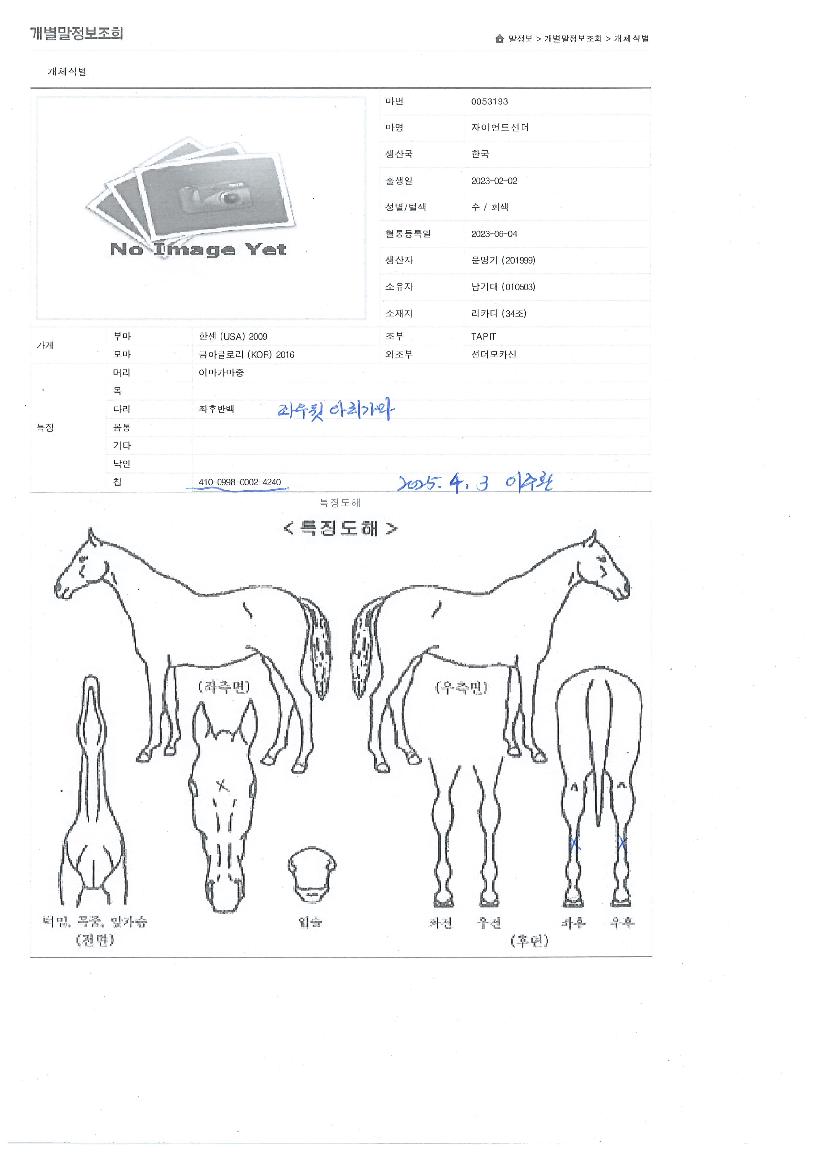 ÀÚÀÌ¾ðÆ®¼±´õÀÇ Ãø¸é,¿ì¸é,µÞ¸é,µÎ»ó,´Ù¸®ÀÇ Æ¯Â¡µµÇØ
