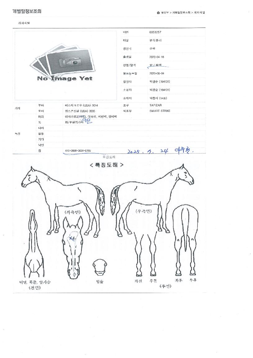 ºäƼǮ¸®ÀÇ Ãø¸é,¿ì¸é,µÞ¸é,µÎ»ó,´Ù¸®ÀÇ Æ¯Â¡µµÇØ