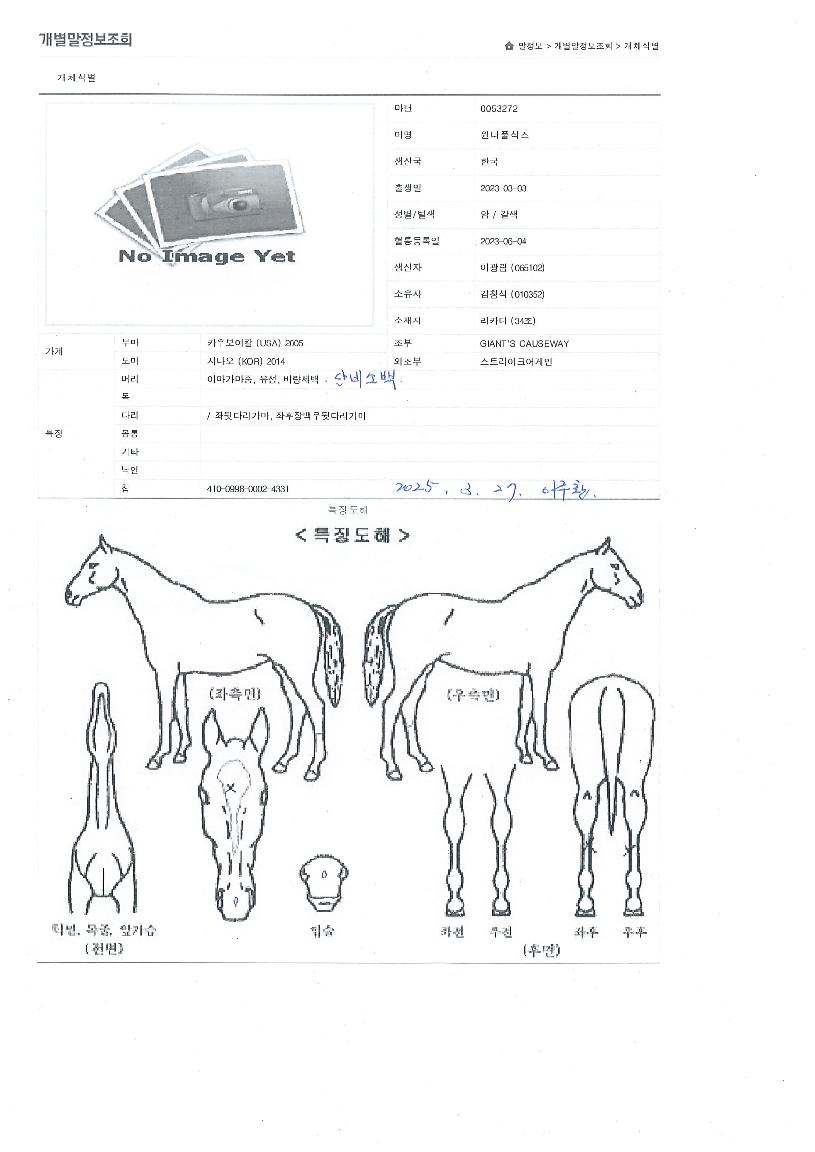 ¿ø´õÇ®»è½ºÀÇ Ãø¸é,¿ì¸é,µÞ¸é,µÎ»ó,´Ù¸®ÀÇ Æ¯Â¡µµÇØ