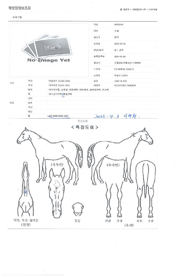 ±¸¸§ÀÇ Ãø¸é,¿ì¸é,µÞ¸é,µÎ»ó,´Ù¸®ÀÇ Æ¯Â¡µµÇØ