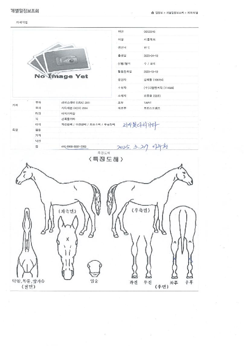 ¸®Ç÷ºÆ®ÀÇ Ãø¸é,¿ì¸é,µÞ¸é,µÎ»ó,´Ù¸®ÀÇ Æ¯Â¡µµÇØ