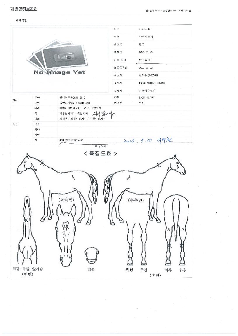 ³ª¸£»þ³ë¹ÙÀÇ Ãø¸é,¿ì¸é,µÞ¸é,µÎ»ó,´Ù¸®ÀÇ Æ¯Â¡µµÇØ