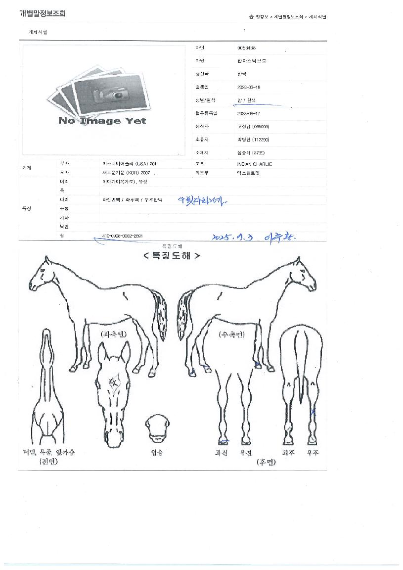 ÆÇŸ½ºÆ½ºê·ÎÀÇ Ãø¸é,¿ì¸é,µÞ¸é,µÎ»ó,´Ù¸®ÀÇ Æ¯Â¡µµÇØ