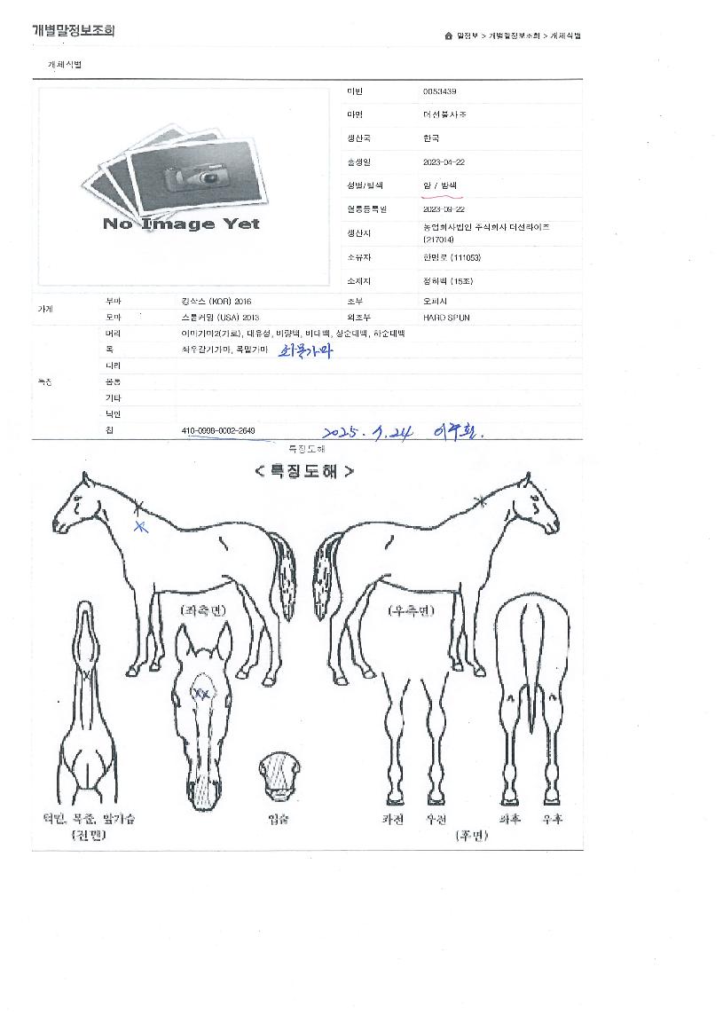 ´õ¼±ºÒ»çÁ¶ÀÇ Ãø¸é,¿ì¸é,µÞ¸é,µÎ»ó,´Ù¸®ÀÇ Æ¯Â¡µµÇØ