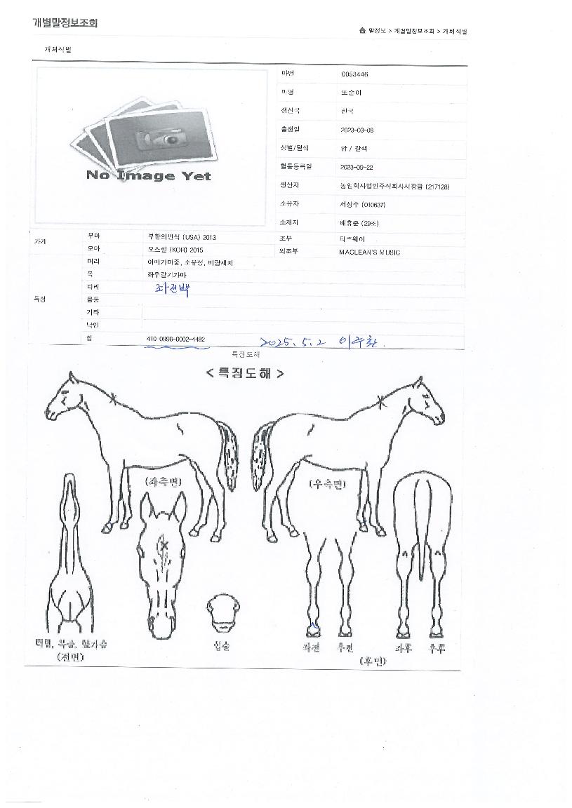 ¶Ç¼øÀÌÀÇ Ãø¸é,¿ì¸é,µÞ¸é,µÎ»ó,´Ù¸®ÀÇ Æ¯Â¡µµÇØ