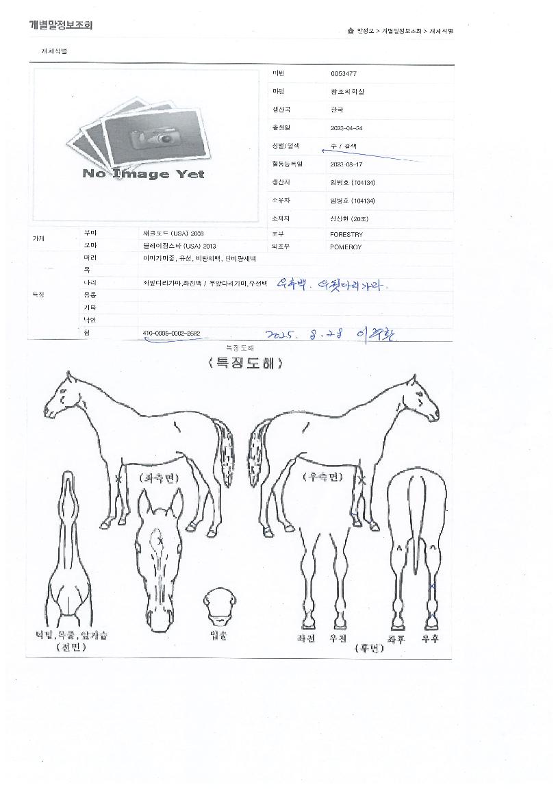 âÁ¶ÀÇÈ»ìÀÇ Ãø¸é,¿ì¸é,µÞ¸é,µÎ»ó,´Ù¸®ÀÇ Æ¯Â¡µµÇØ