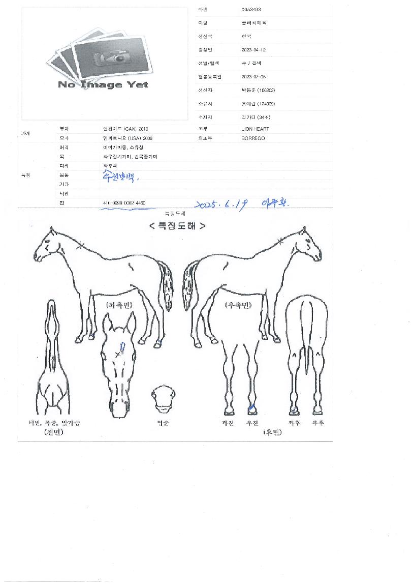 Ŭ·¯Ä¡¸ÅÁ÷ÀÇ Ãø¸é,¿ì¸é,µÞ¸é,µÎ»ó,´Ù¸®ÀÇ Æ¯Â¡µµÇØ