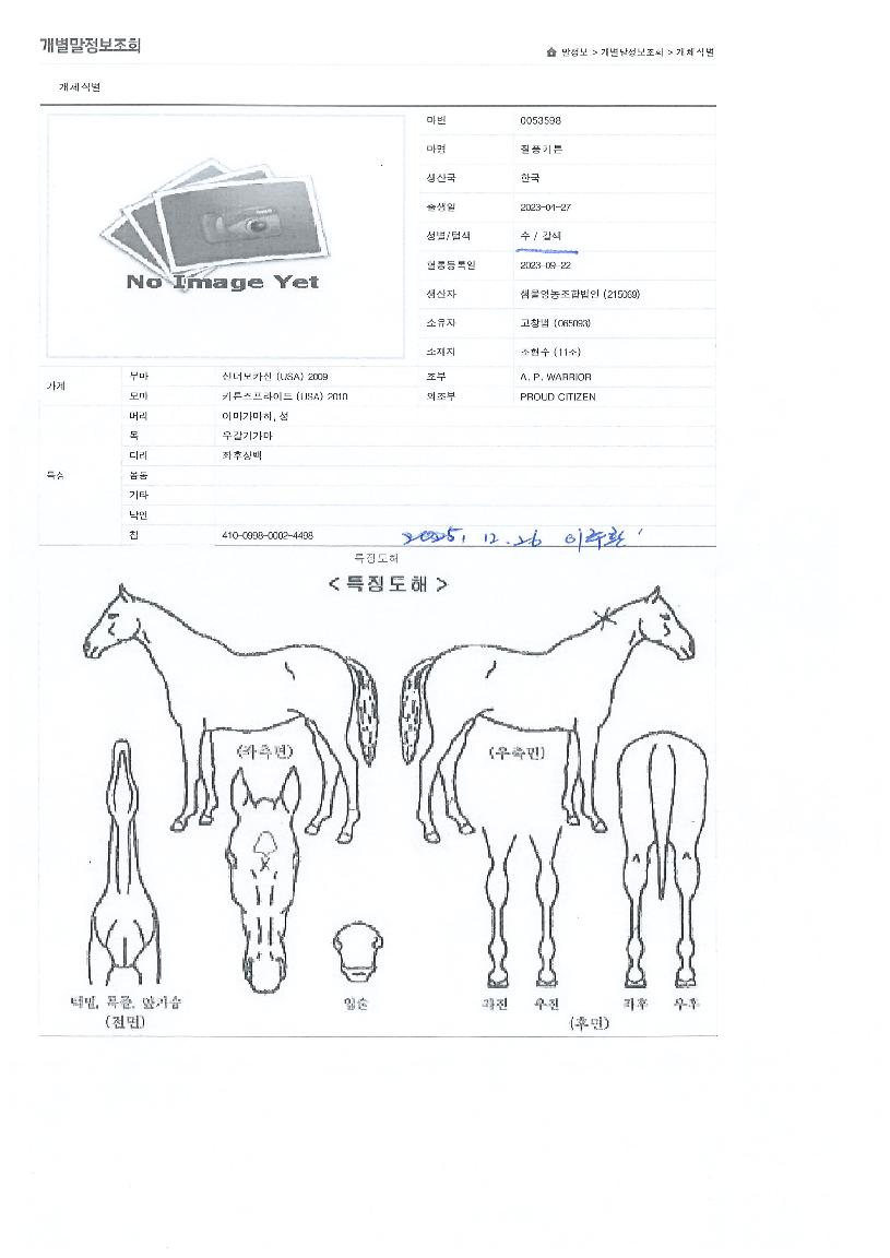 ÁúdzŰưÀÇ Ãø¸é,¿ì¸é,µÞ¸é,µÎ»ó,´Ù¸®ÀÇ Æ¯Â¡µµÇØ