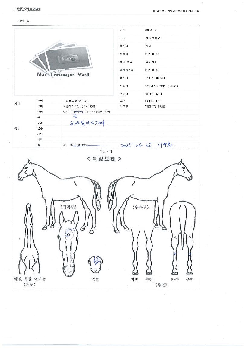 ÇູÇÑÁúÁÖÀÇ Ãø¸é,¿ì¸é,µÞ¸é,µÎ»ó,´Ù¸®ÀÇ Æ¯Â¡µµÇØ