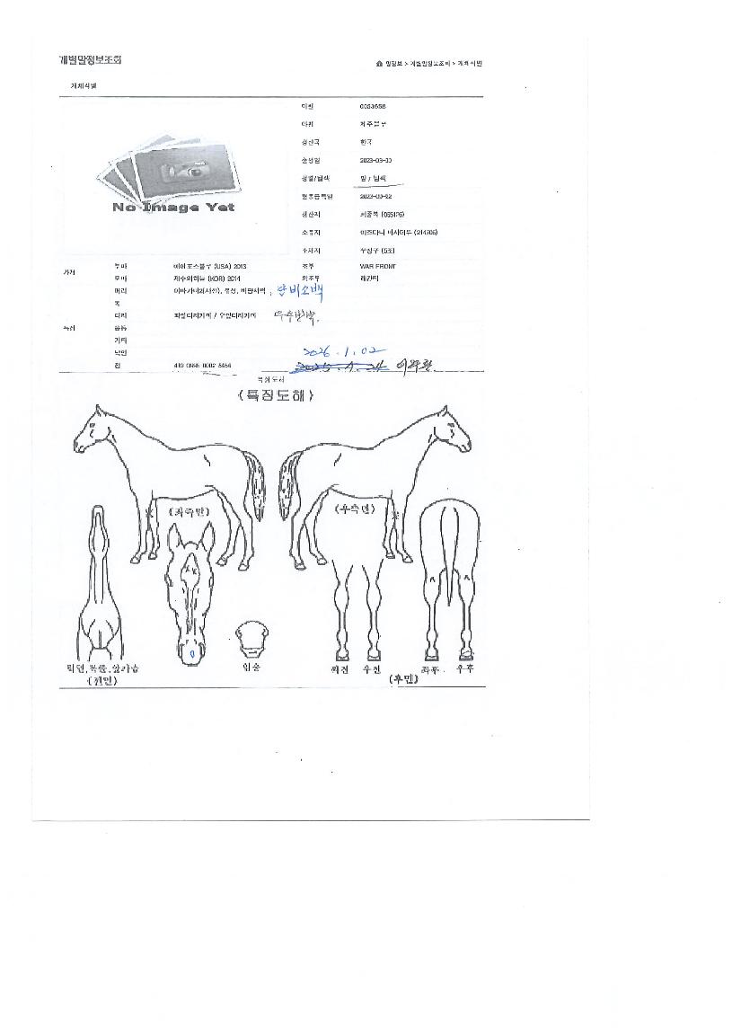 Á¦ÁÖºí·çÀÇ Ãø¸é,¿ì¸é,µÞ¸é,µÎ»ó,´Ù¸®ÀÇ Æ¯Â¡µµÇØ