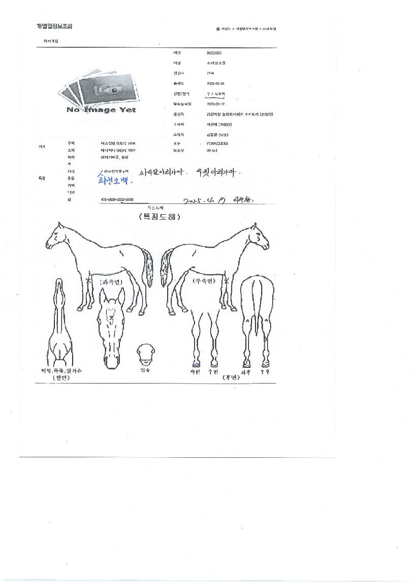 ½ºÅÍ´×½ºÅ¶ÀÇ Ãø¸é,¿ì¸é,µÞ¸é,µÎ»ó,´Ù¸®ÀÇ Æ¯Â¡µµÇØ