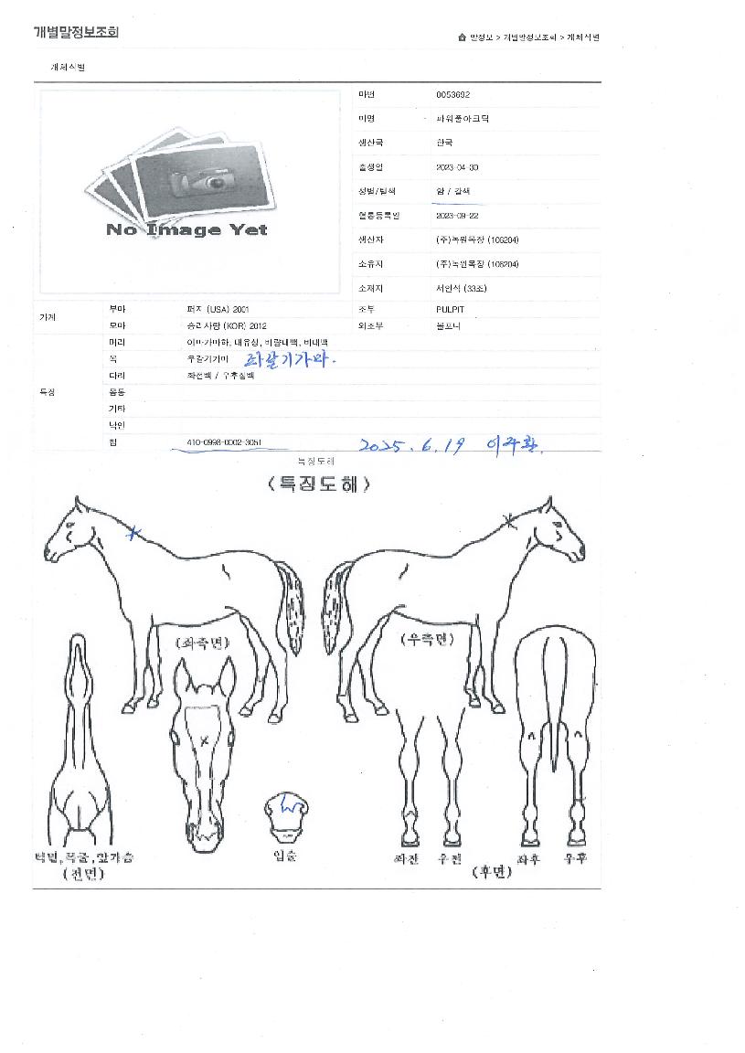 ÆÄ¿öÇ®¾ÆÅ©Æ½ÀÇ Ãø¸é,¿ì¸é,µÞ¸é,µÎ»ó,´Ù¸®ÀÇ Æ¯Â¡µµÇØ
