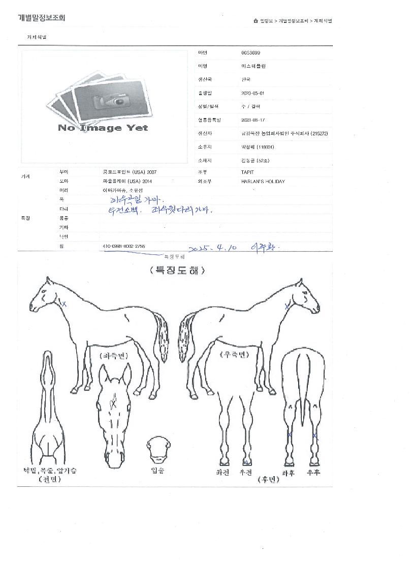 ¸¶½ºÅÍÇ÷£ÀÇ Ãø¸é,¿ì¸é,µÞ¸é,µÎ»ó,´Ù¸®ÀÇ Æ¯Â¡µµÇØ