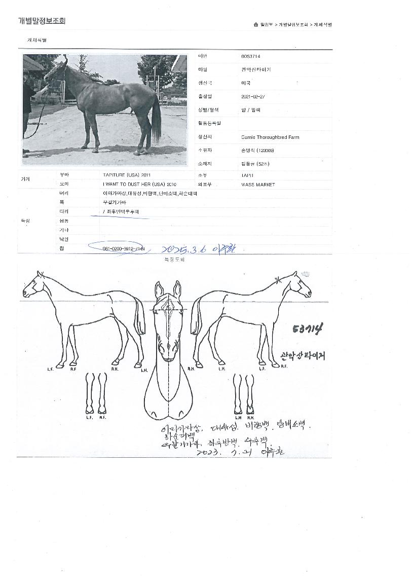 °ü¾Ç»êŸÀ̰ÅÀÇ Ãø¸é,¿ì¸é,µÞ¸é,µÎ»ó,´Ù¸®ÀÇ Æ¯Â¡µµÇØ