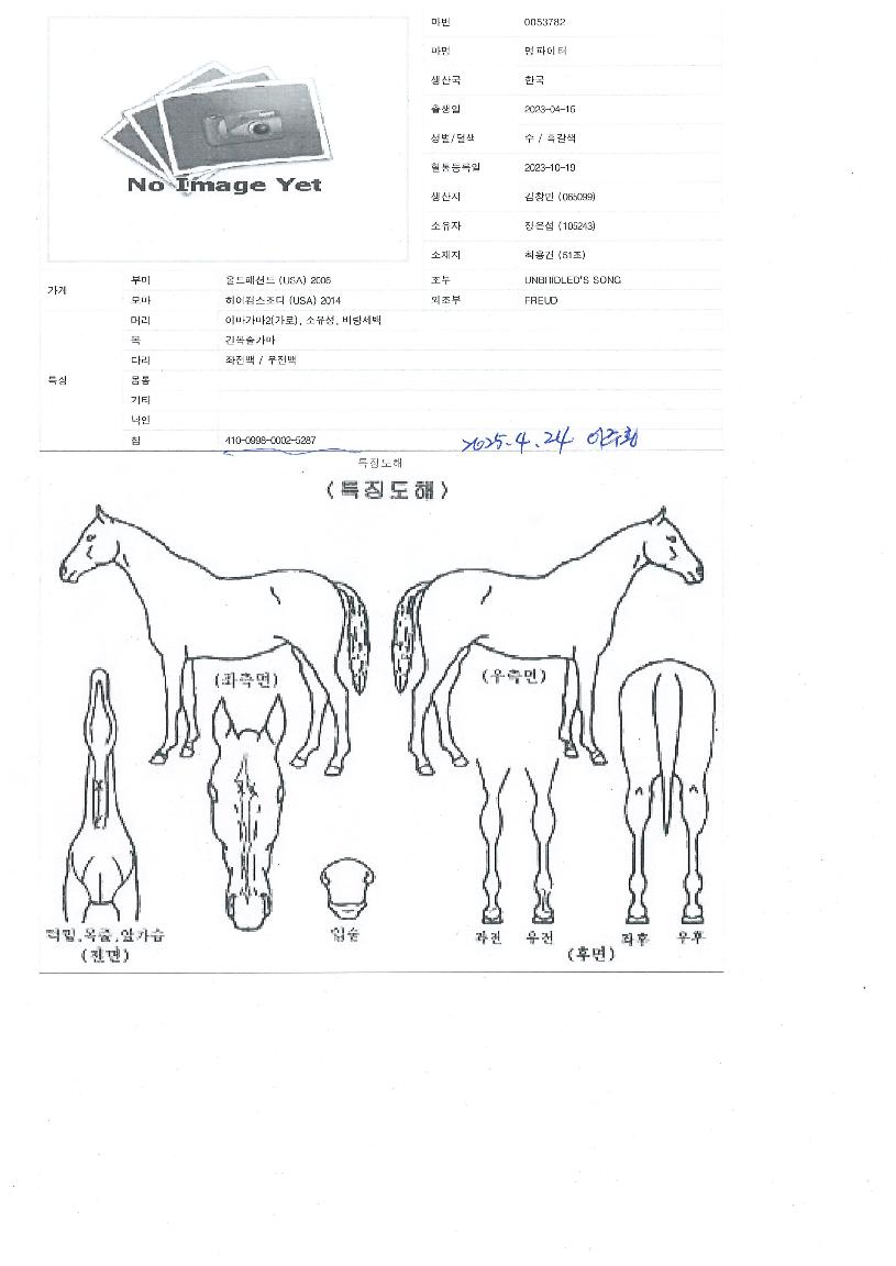 ¸íÆÄÀÌÅÍÀÇ Ãø¸é,¿ì¸é,µÞ¸é,µÎ»ó,´Ù¸®ÀÇ Æ¯Â¡µµÇØ