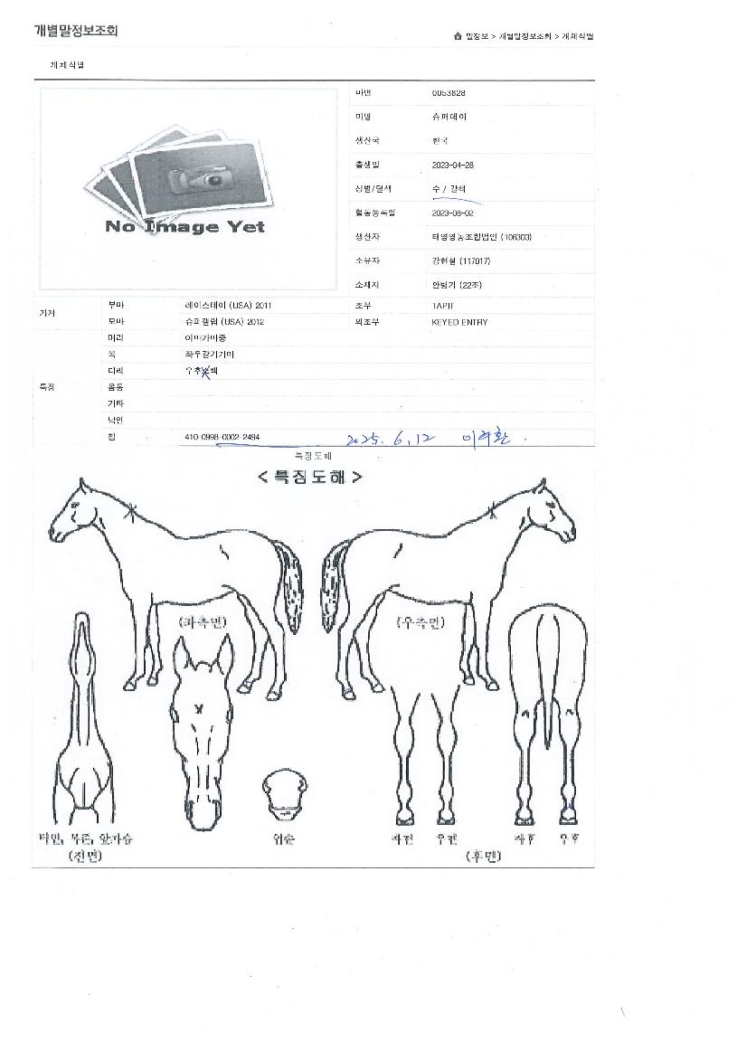 ½´ÆÛµ¥ÀÌÀÇ Ãø¸é,¿ì¸é,µÞ¸é,µÎ»ó,´Ù¸®ÀÇ Æ¯Â¡µµÇØ