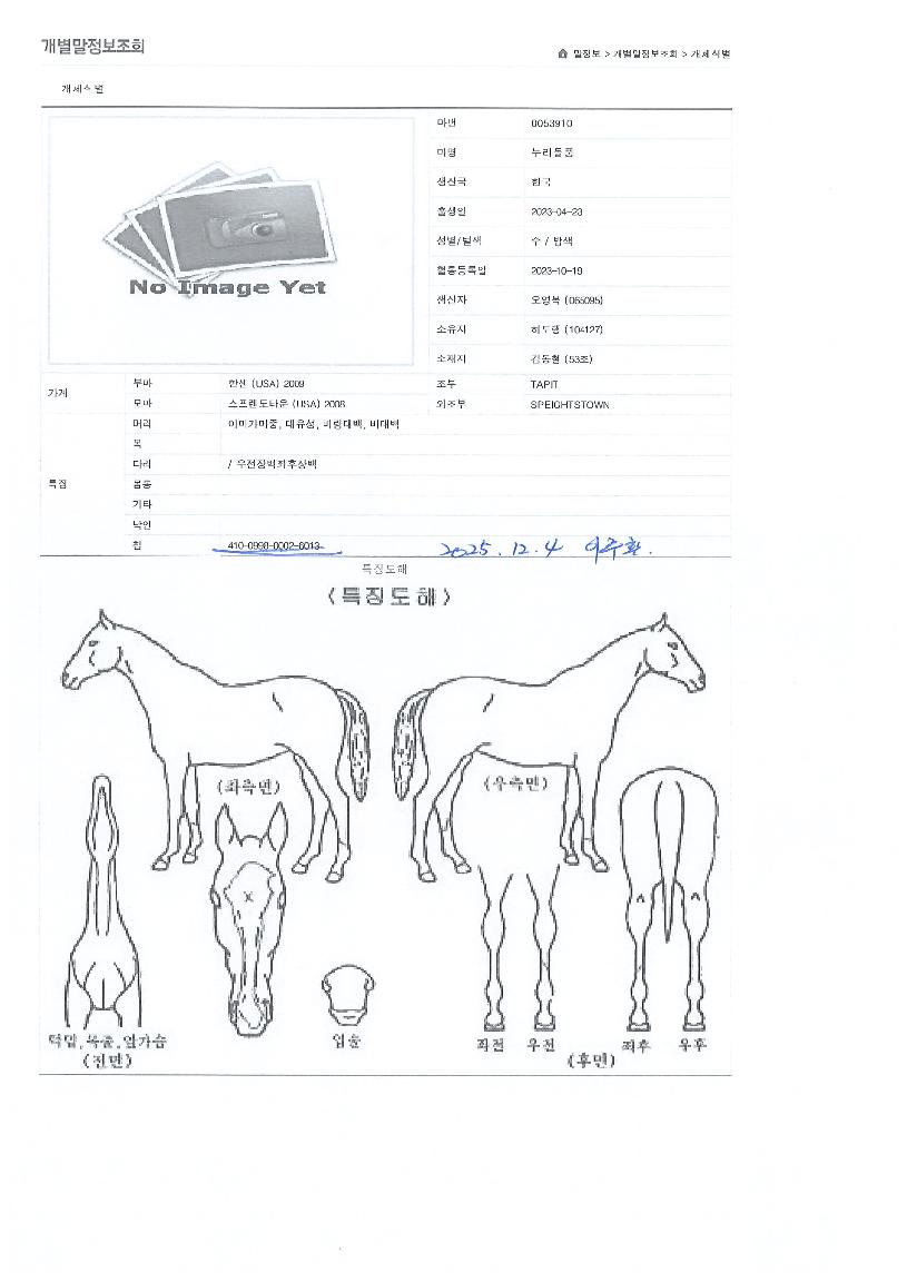 ´©¸®µ¹Ç³ÀÇ Ãø¸é,¿ì¸é,µÞ¸é,µÎ»ó,´Ù¸®ÀÇ Æ¯Â¡µµÇØ