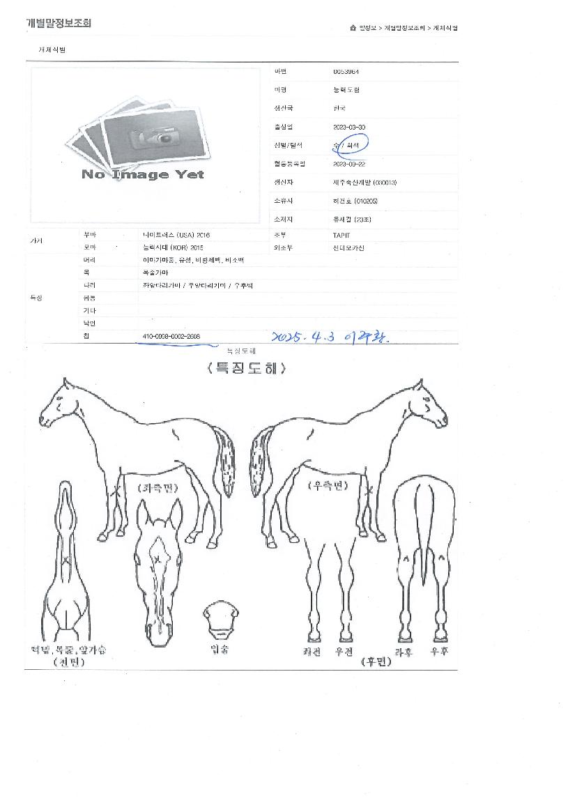 ´É·Âµµ·ÉÀÇ Ãø¸é,¿ì¸é,µÞ¸é,µÎ»ó,´Ù¸®ÀÇ Æ¯Â¡µµÇØ