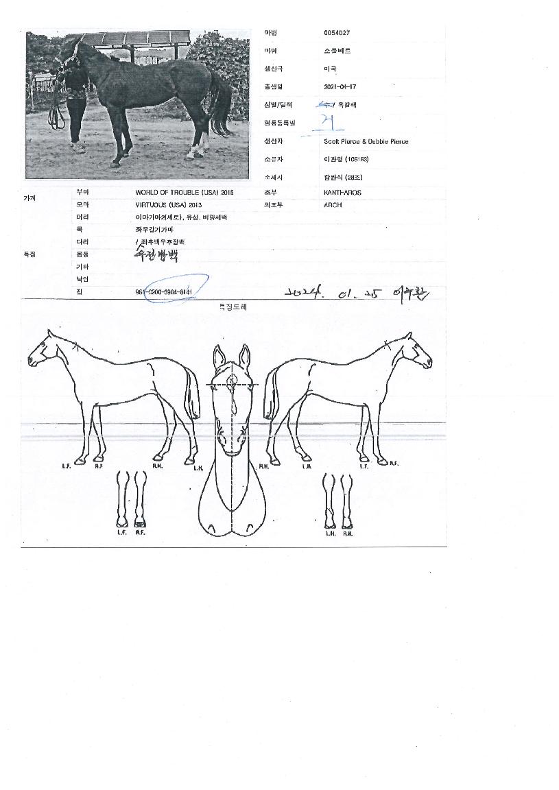 ¼Ò¿ïºñÆ®ÀÇ Ãø¸é,¿ì¸é,µÞ¸é,µÎ»ó,´Ù¸®ÀÇ Æ¯Â¡µµÇØ