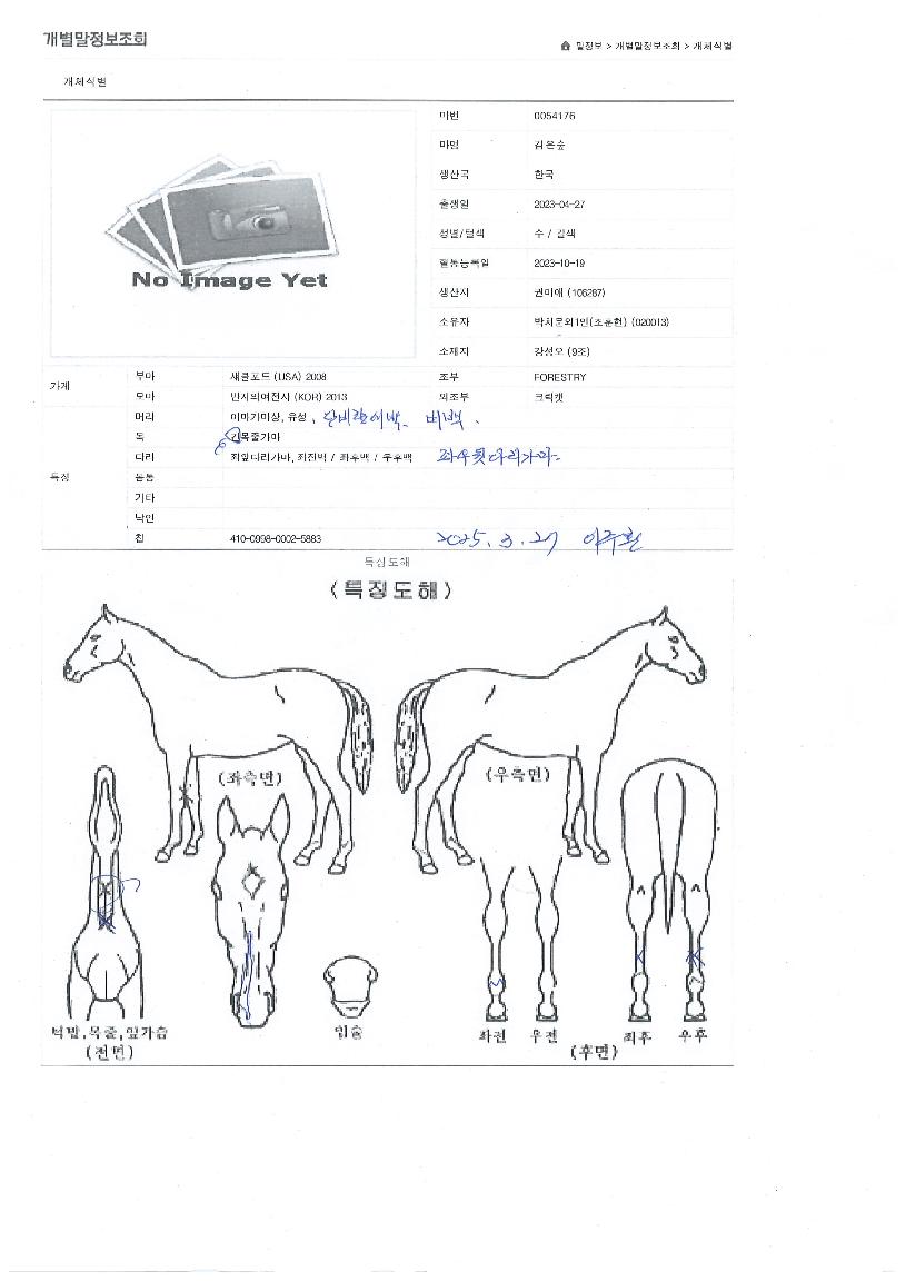 °ËÀº½£ÀÇ Ãø¸é,¿ì¸é,µÞ¸é,µÎ»ó,´Ù¸®ÀÇ Æ¯Â¡µµÇØ